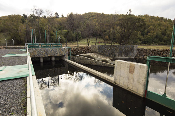 Central Hidroelectrica Picoiquen